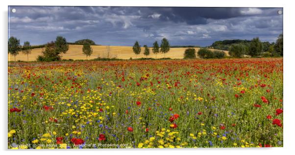 Wild Flower Meadow Acrylic by Jim Monk