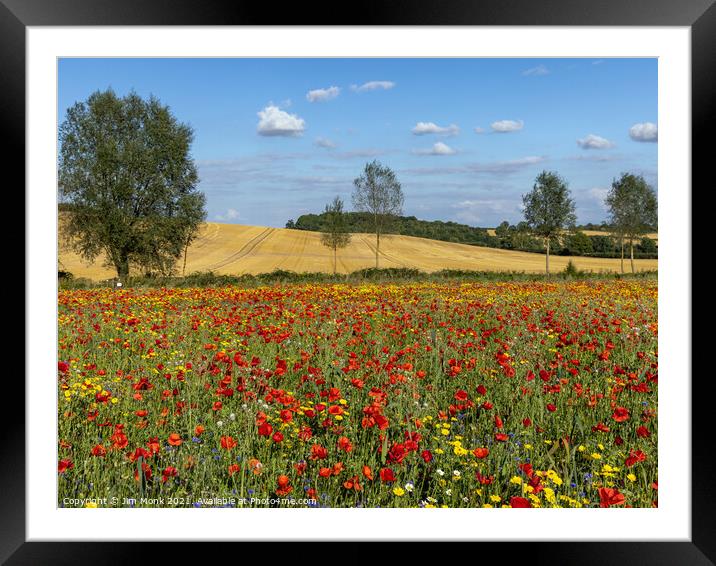 Poppies and Wildflowers Framed Mounted Print by Jim Monk