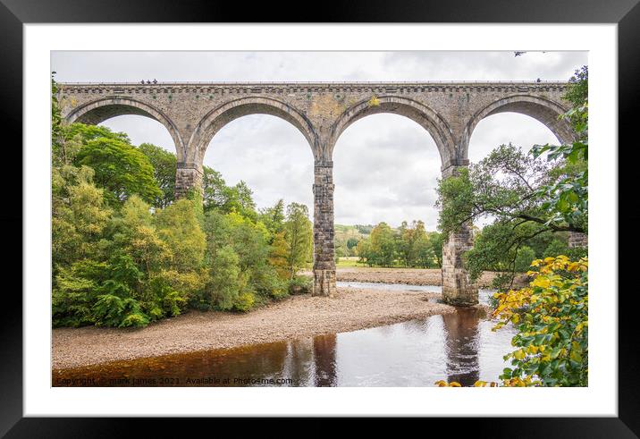 Lambley Viaduct in autumn Framed Mounted Print by mark james