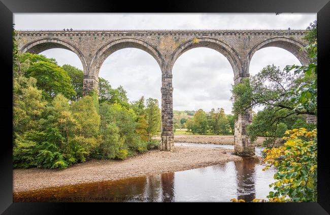 Lambley Viaduct in autumn Framed Print by mark james