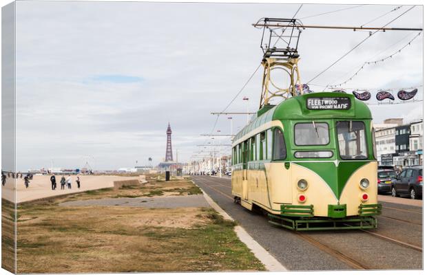 Old tram travels down Blackpool seafront Canvas Print by Jason Wells