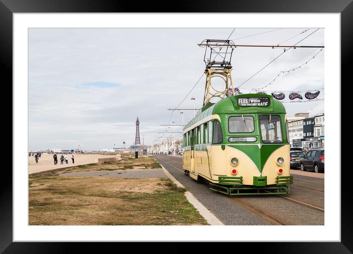 Old tram travels down Blackpool seafront Framed Mounted Print by Jason Wells