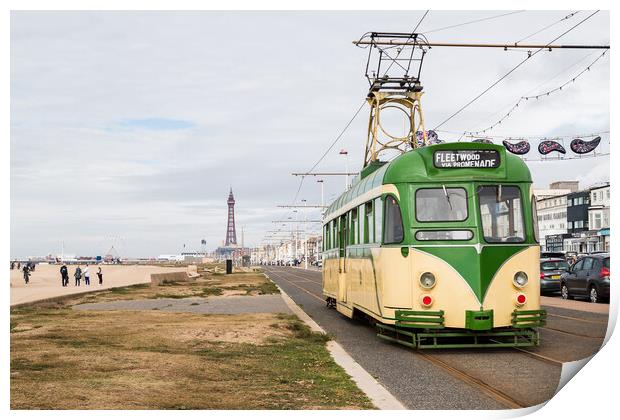 Old tram travels down Blackpool seafront Print by Jason Wells