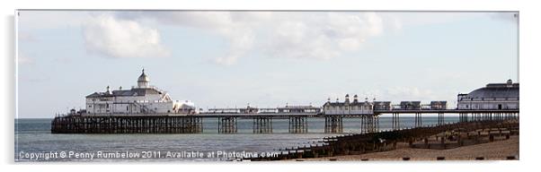 Eastbourne Pier Acrylic by Elouera Photography
