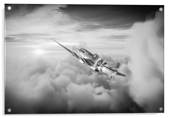 Spitfire AB910 Black and White Acrylic by J Biggadike