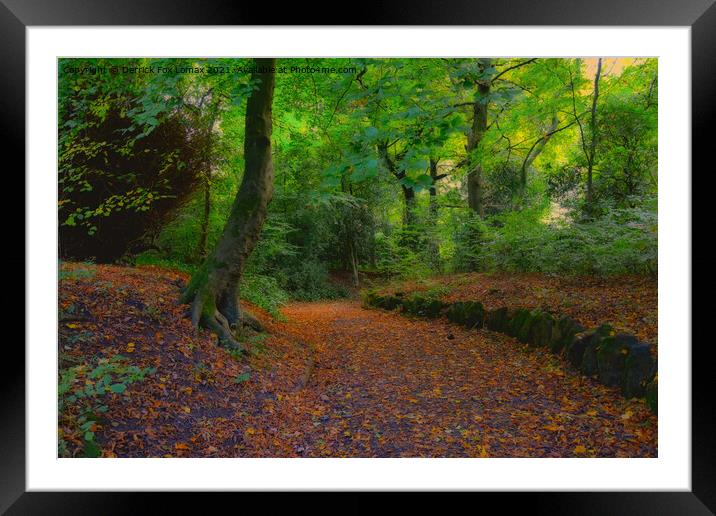 Autumn Woodland In Lancashire Framed Mounted Print by Derrick Fox Lomax