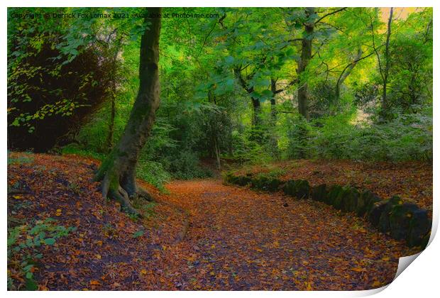 Autumn Woodland In Lancashire Print by Derrick Fox Lomax