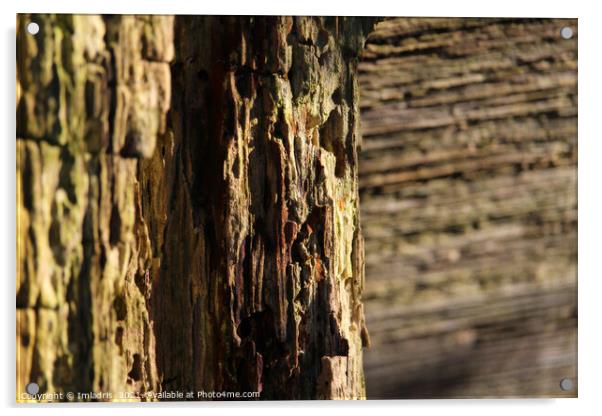 Textured Nature Abstract, Weathered Wood Acrylic by Imladris 