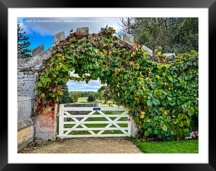 Leafy arch  Framed Mounted Print by Aimie Burley
