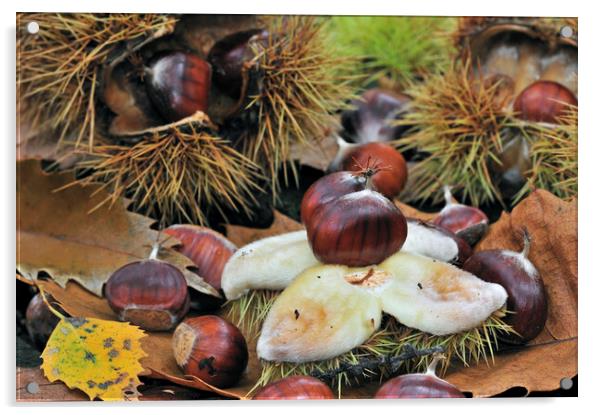 Chestnuts on the Forest Floor Acrylic by Arterra 