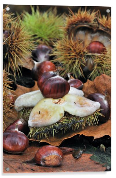 Sweet Chestnuts in Autumn Wood Acrylic by Arterra 