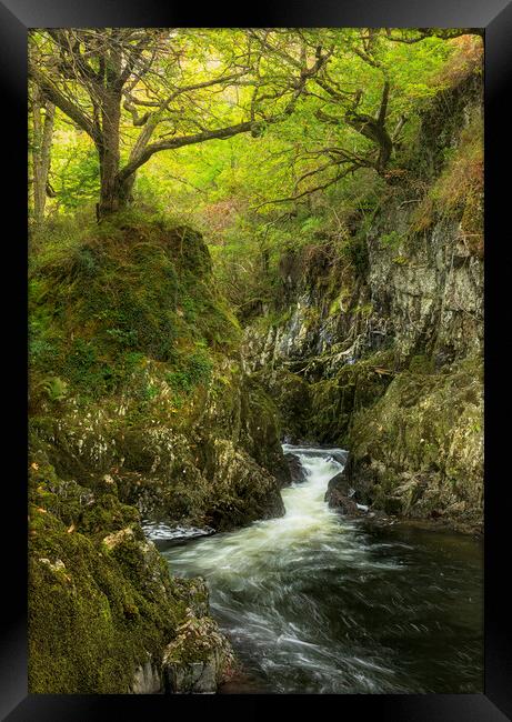 Afon Lledr Framed Print by Rory Trappe