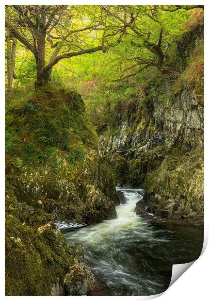 Afon Lledr Print by Rory Trappe