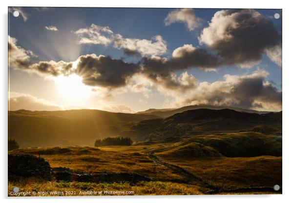 Lake District Sunshine Acrylic by Nigel Wilkins