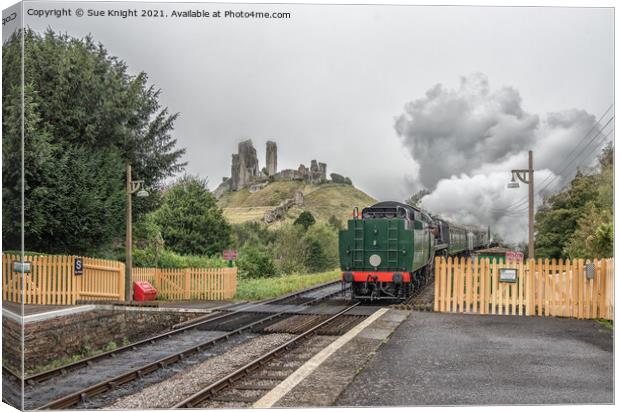 Steam train with view of Corfe castle Canvas Print by Sue Knight