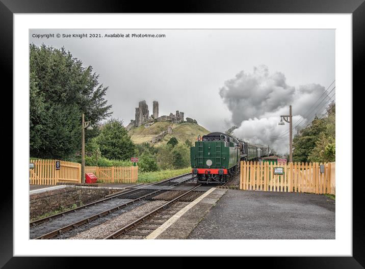 Steam train with view of Corfe castle Framed Mounted Print by Sue Knight
