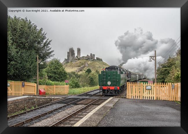 Steam train with view of Corfe castle Framed Print by Sue Knight