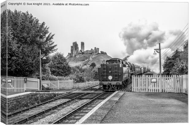 Steam train with Corfe Castle in the background Canvas Print by Sue Knight