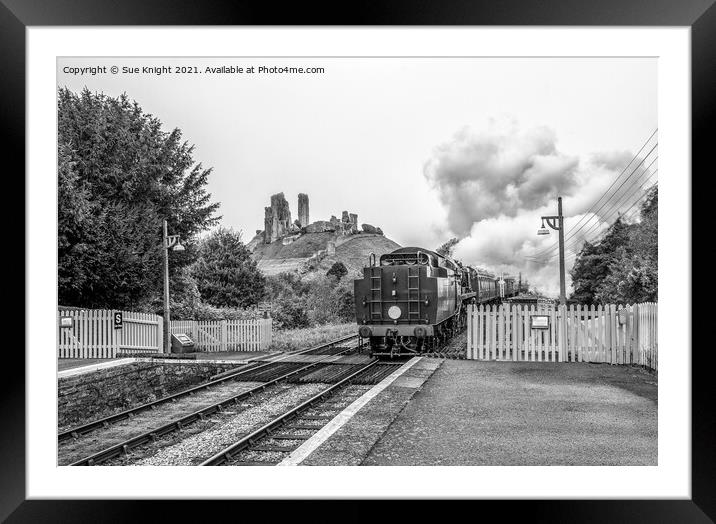 Steam train with Corfe Castle in the background Framed Mounted Print by Sue Knight
