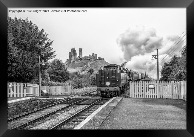Steam train with Corfe Castle in the background Framed Print by Sue Knight