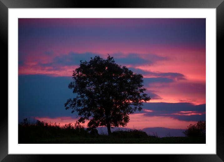 Tree silhouette Broadway Framed Mounted Print by Simon Johnson