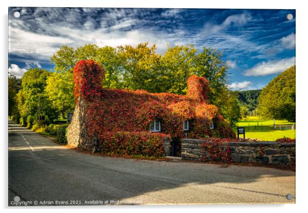 Llanrwst Cottage Wales Acrylic by Adrian Evans