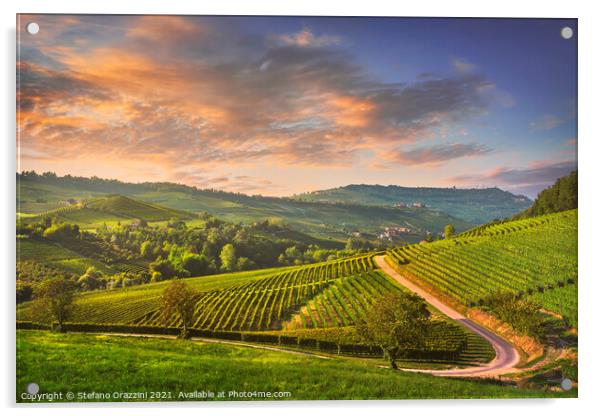 Langhe vineyards view, Barolo, Piedmont, Italy Acrylic by Stefano Orazzini
