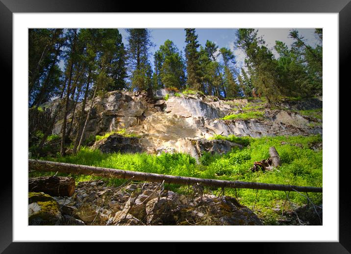 Canadian Rocky Mountains cliff in the forest Framed Mounted Print by PAULINE Crawford