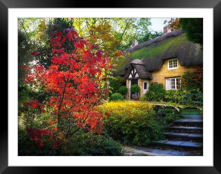 Cotswold Autumnal Cottage Framed Mounted Print by Alison Chambers