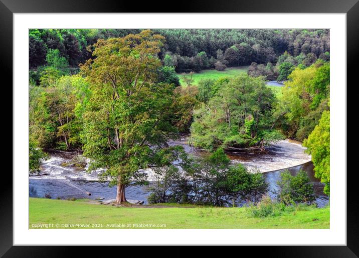 Horseshoe Falls River Dee Llangollen Framed Mounted Print by Diana Mower