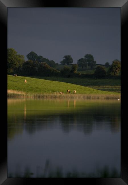 Loch and Cattle Northern Ireland Framed Print by Christopher Stores