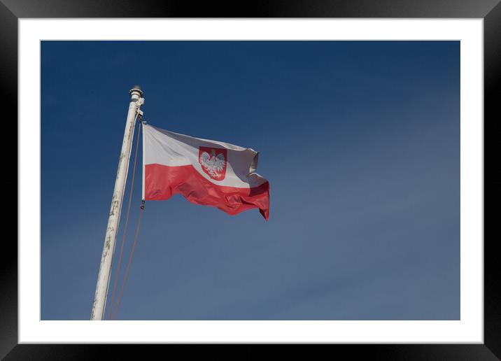 Polish Flag Framed Mounted Print by Christopher Stores