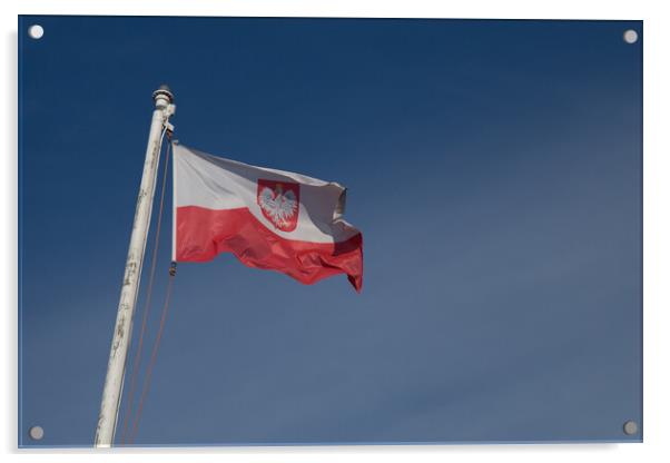 Polish Flag Acrylic by Christopher Stores