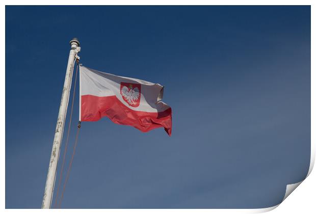 Polish Flag Print by Christopher Stores