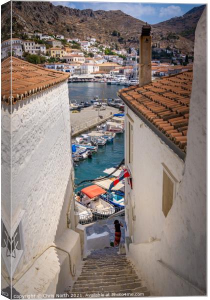 Rooftops and marina of Hydra. Canvas Print by Chris North