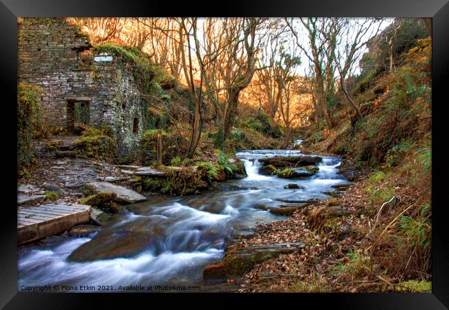 Trethevy Mill and Rocky Falls Framed Print by Fiona Etkin