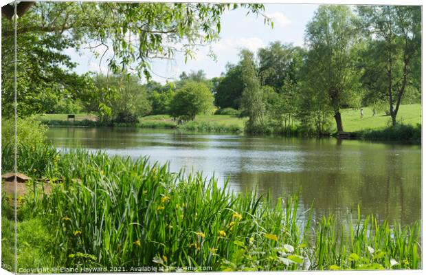 The lake at Highwoods Country Park, Colchester Canvas Print by Elaine Hayward