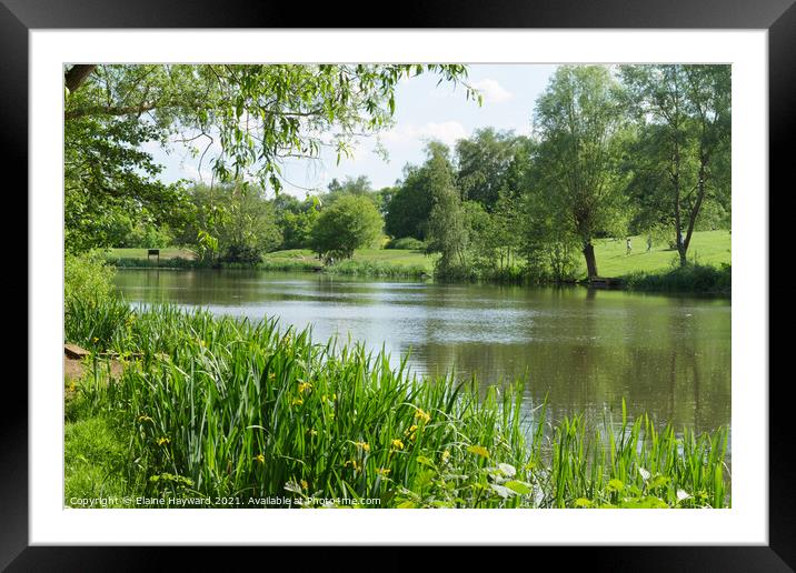 The lake at Highwoods Country Park, Colchester Framed Mounted Print by Elaine Hayward