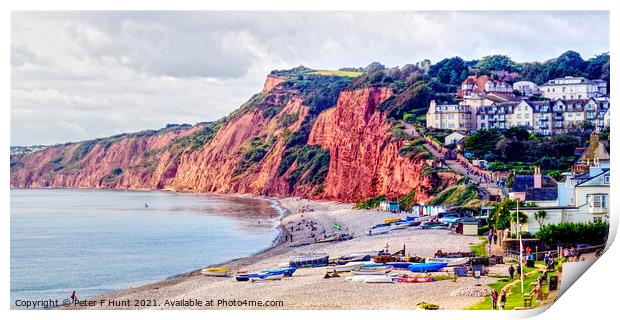 The Red Cliffs Of Budleigh Salterton  Print by Peter F Hunt