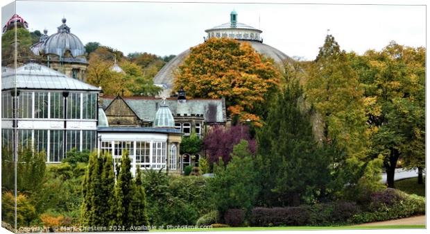 Autumns Unveiling Canvas Print by Mark Chesters