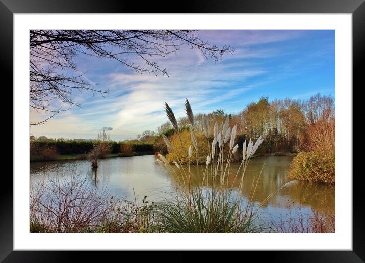 Burley Field Lakes Leckhampton Framed Mounted Print by Susan Snow