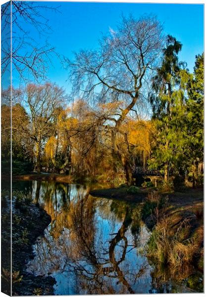 Reflections at Stewart Park Middlesbrough Canvas Print by Martyn Arnold