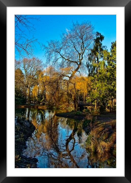 Reflections at Stewart Park Middlesbrough Framed Mounted Print by Martyn Arnold