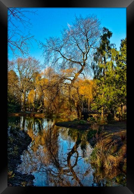 Reflections at Stewart Park Middlesbrough Framed Print by Martyn Arnold