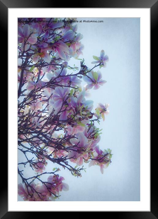 Waiting For Spring Framed Mounted Print by Christine Lake