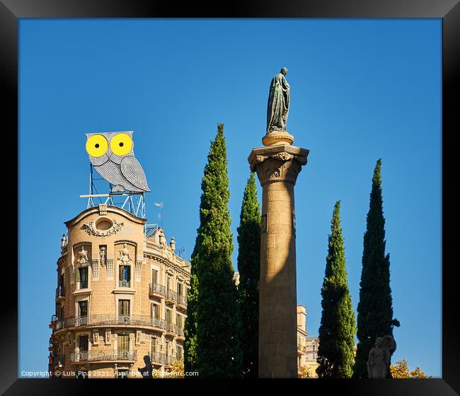 Owl Barcelona Framed Print by Luis Pina