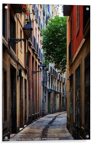 Gothic Quarter area in Barcelona, Spain Acrylic by Luis Pina