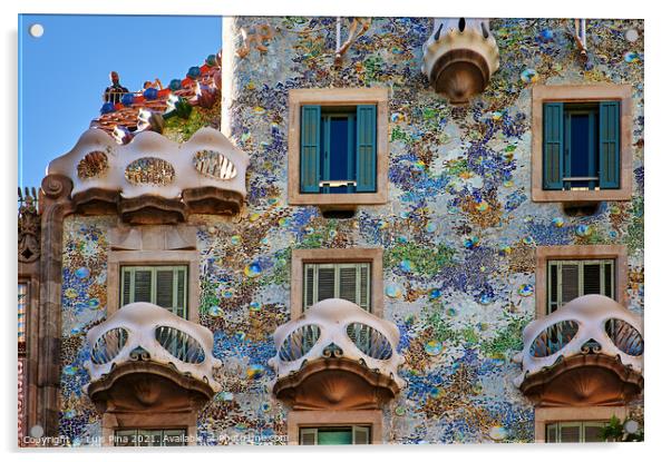 Casa Battlo in Barcelona, Spain Acrylic by Luis Pina