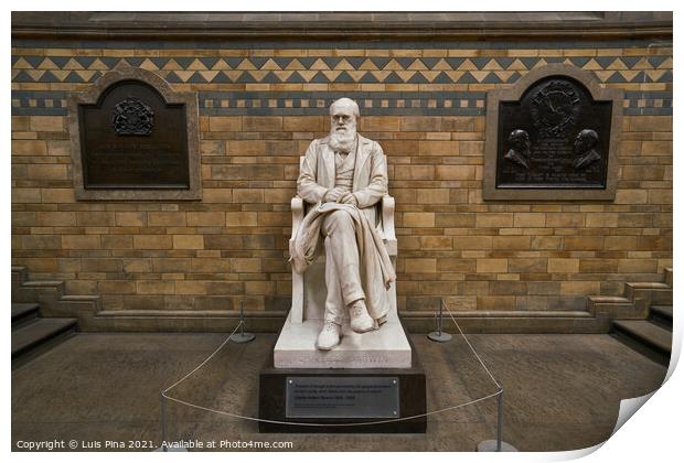 Charles Darwin statue in Natural history museum in London, England Print by Luis Pina