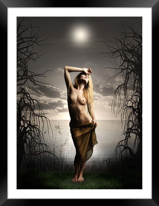 Moonlight Maiden Framed Mounted Print by Julie Hoddinott